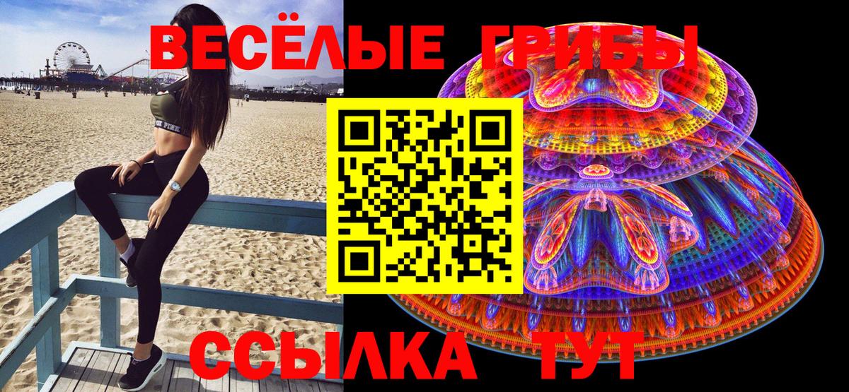 сколько стоит  Вход с VPN  Пенза  Галлюциногенные грибы мицелий 